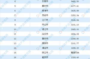 2019年广东省21地市GDP排行榜