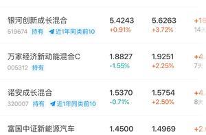 艳阳高照，基金全红