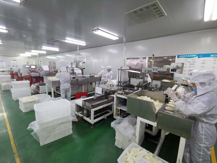 发挥专业优势 南华期货巧用橡胶期权助力手套企业“抗疫”