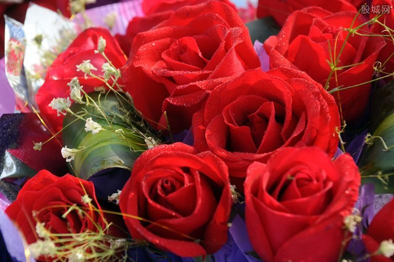 三八妇女节送什么花 鲜花多少钱一束？