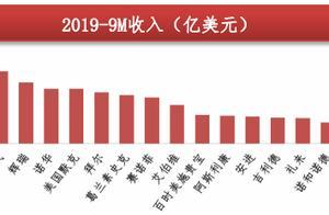 国际医药巨头强在哪？国内医药股票有哪些投资机会？”