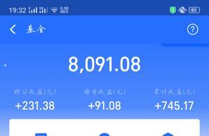 买了只新基没懂，求高手指点下